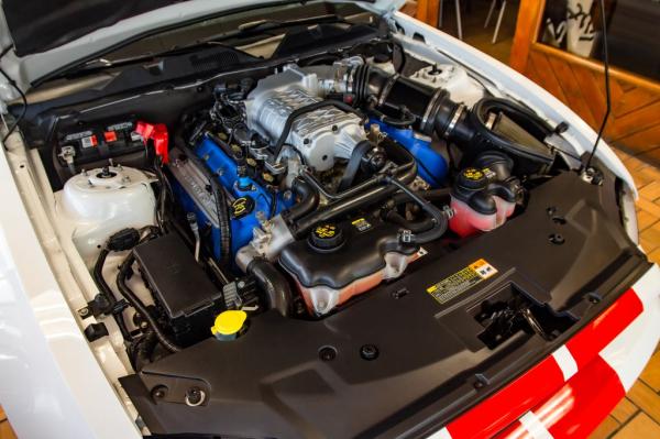 Used 2014 FORD MUSTANG SHELBY SHELBY GT500