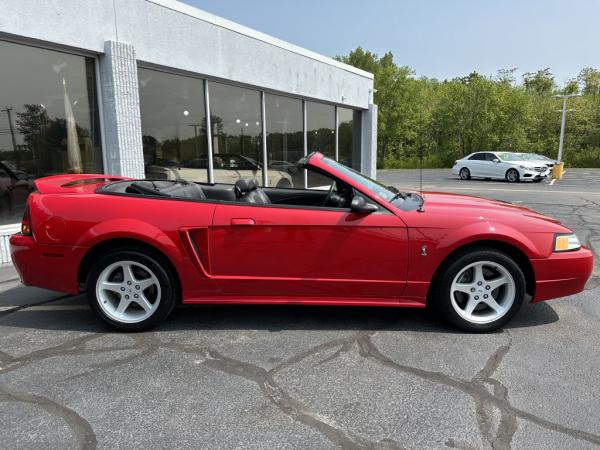 Used 1999 FORD MUSTANG COBRA S COBRA SVT