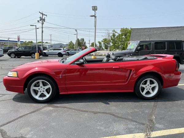 Used 1999 FORD MUSTANG COBRA S COBRA SVT