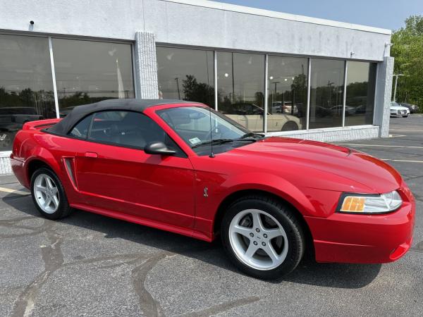 Used 1999 FORD MUSTANG COBRA S COBRA SVT