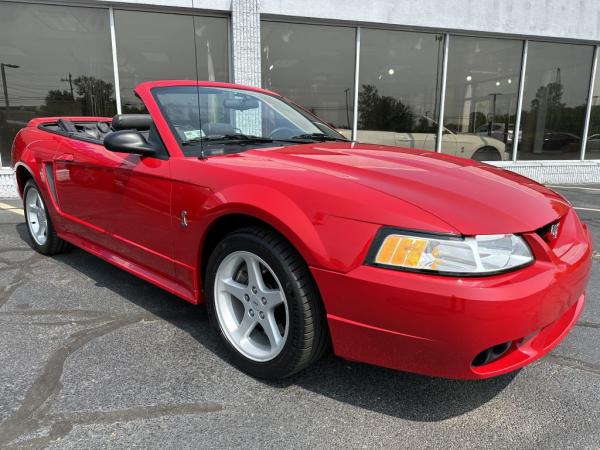 Used 1999 FORD MUSTANG COBRA S COBRA SVT