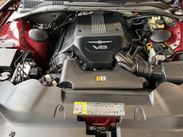 Used 2004 FORD THUNDERBIRD