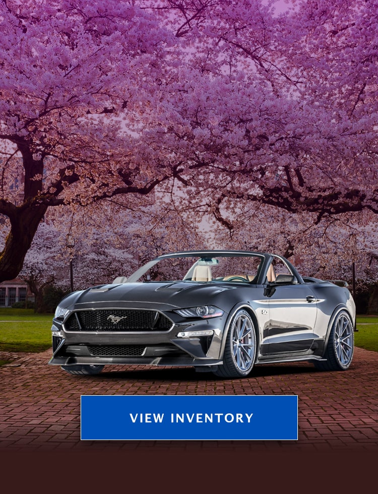 Home Executive Auto Sales Rhode Island